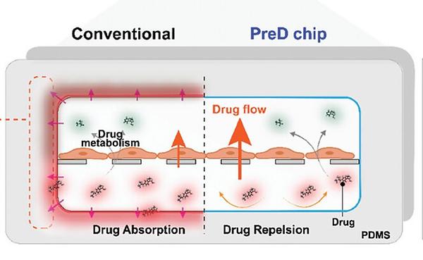 Innovative PreD Chip for Drug Testing developed
