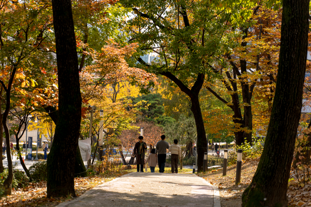 윤동주문학동산